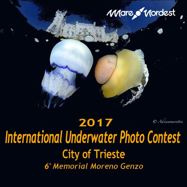 Concours international de photos sous-marines 2017 Ville de Trieste - 20 mai 2017
